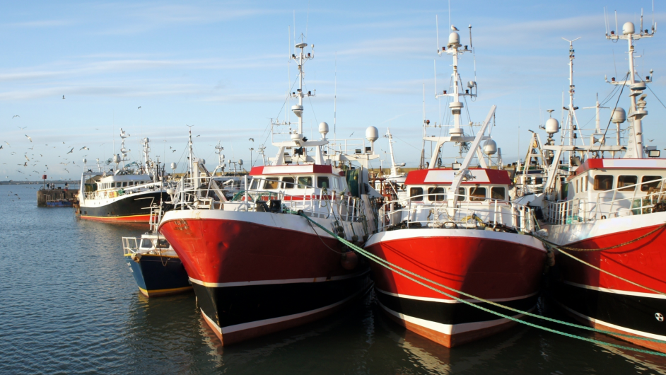 Countdown underway to Skipper Expo in UL Image