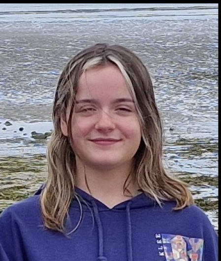 Garda appeal for missing Kerry Pike teenager Image