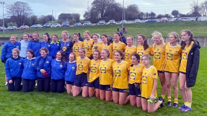 Bandon edge Ilen Rovers to win Junior D county Image