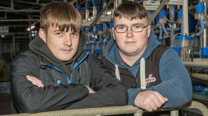 Sean Óg Coleman and Aodh Lynch, Ballyvourney, in the dairy unit at a career's open day which was held at Clonakilty Agricultural College. (Photo: O'Gorman Photography)