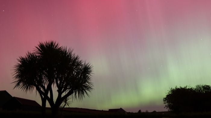 Declan Whelton captured a beautiful shot of the night sky over Kilbrittain which was lit by the Northern Lights last Thursday night.