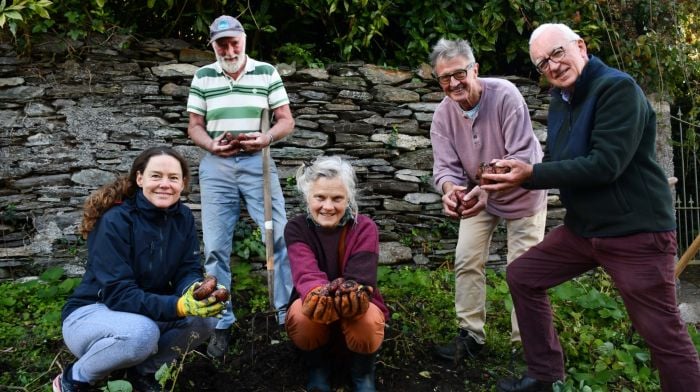 Volunteers Allison and Peter Martin, Christy O'Neill, Anita Henderson and Peadar King harvesting their first crop of potatoes from the community garden. (Photo: Anne Minihane)