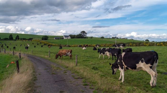 Stalwarts of local IFA recognised in Adare Image