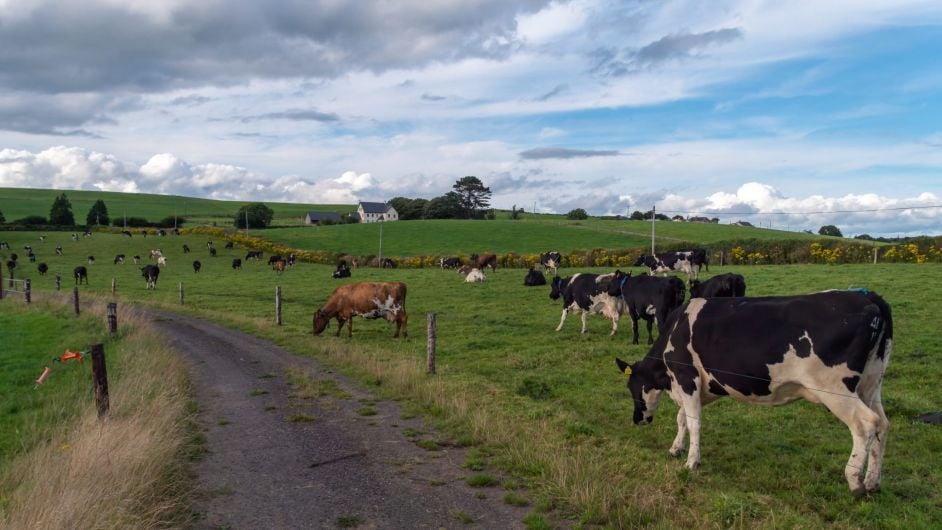 Stalwarts of local IFA recognised in Adare Image