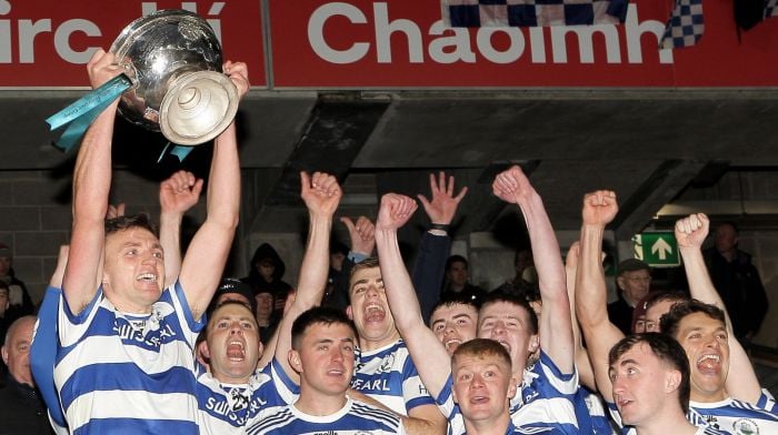 WATCH: Castlehaven captain Mark Collins on their two in a row Image