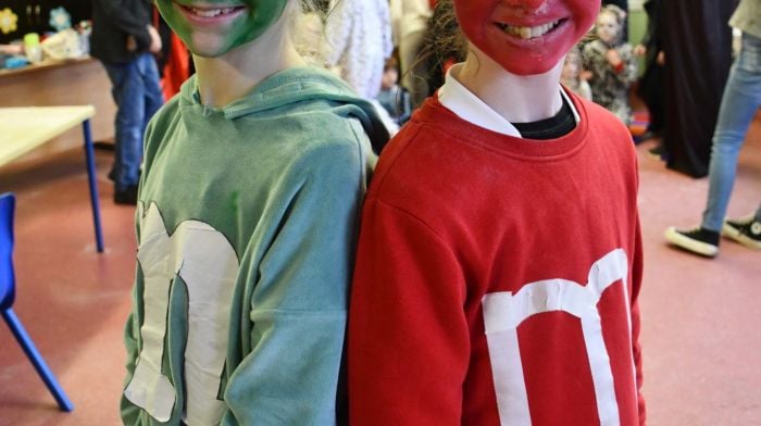 Dressed as M&Ms were Emma McCarthy and Kate Lynch for the Dreeny National School Halloween party. Right: Firemen Keith Faithfull and Aidan Whelton from Bandon Fire Service putting up their scarecrow in Leap for the festival.
 (Photos: Anne Minihane & Andrew Harris)