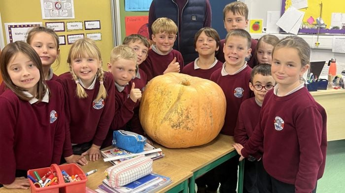 Pupils at Rath National School thanked Mark Lee from the Skibbereen Garden Centre who visited the school during the week with a selection of wonderful pumpkins. Mark taught the pupils about growing them, saving seeds and gave some helpful tips for carving. Mark with third class pupils Mila Browne, Éirinn O’Driscoll, Joni Perry Clarke, Luka Pitton Brady, Eóin O’Donovan, Christopher O’Neill, Mark Marchenko, Quinn Breen, Cillian O’Mahony, Orlaith Brennan, Jerry O’Mahony and Méabh Collins.