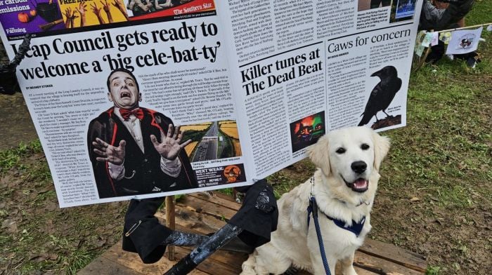 Seamie from Leap reading The Southern Star at the Leap Scarecrow Festival.