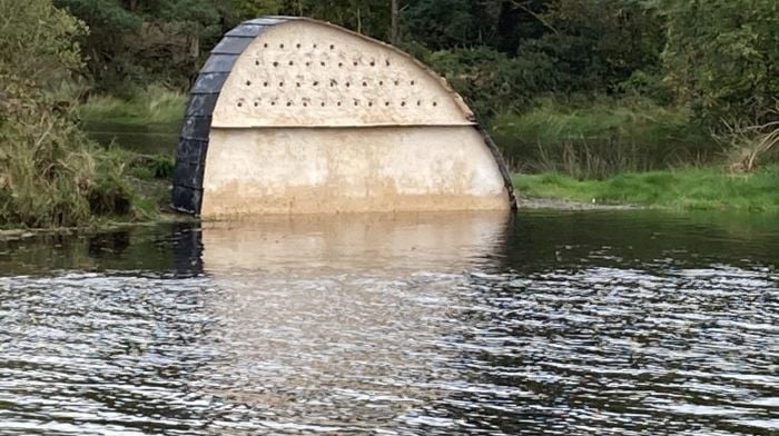 The new wave-like structure in the lagoon was constructed by a dedicated team of volunteers over the summer to provide a safe habitat for breeding sand martins when they return in the spring.