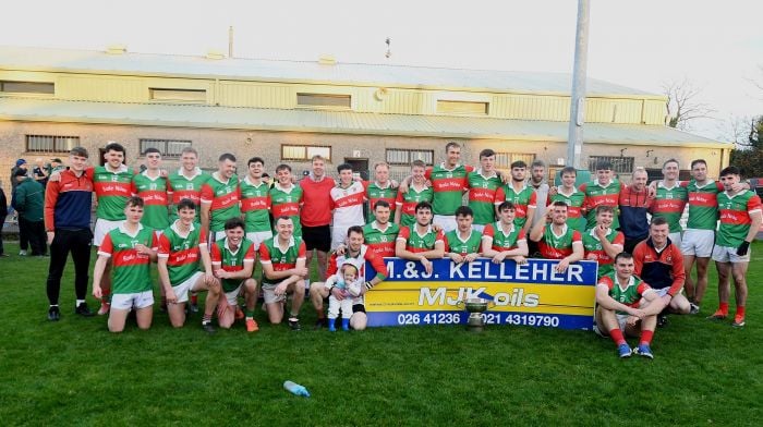 Ballinora hurlers continue their Mid Cork dominance Image