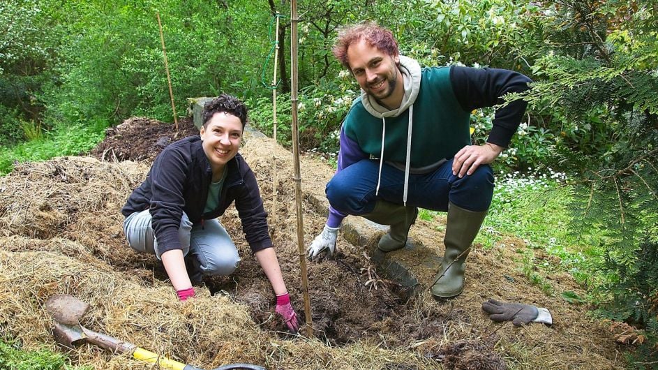 Glenkeen Garden inspires new show Image