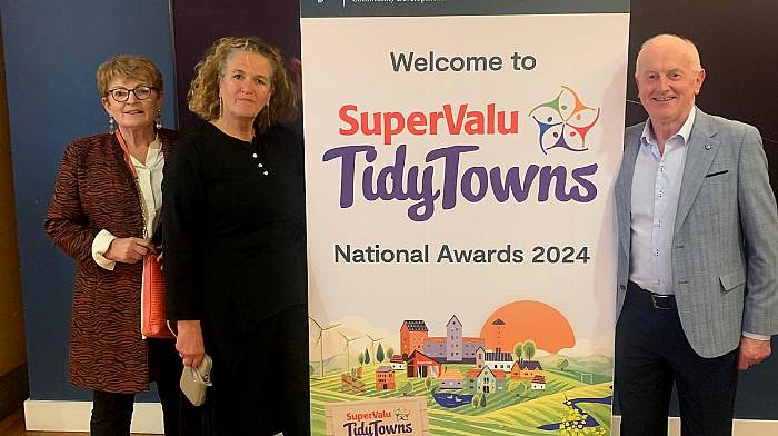 Liz Gibson, Debbie Delaney and Noel O'Mahony representing Bantry Tidy Towns at the SuperValu Tidy Towns National Awards in Croke Park last Friday.