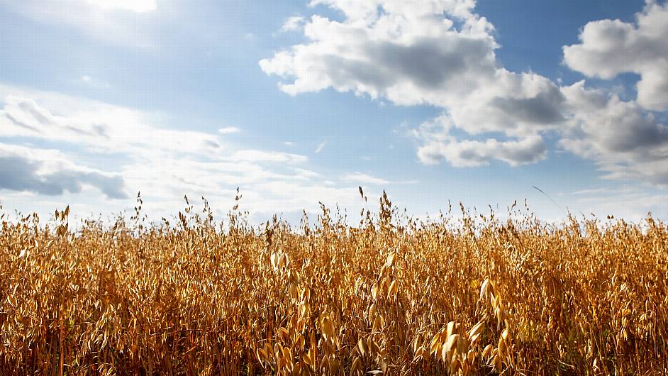 Kinsale oat grower recognised  at awards Image