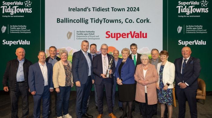 West Cork cleans up at Tidy Towns awards Image