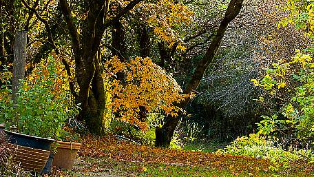 November leaves little time for sowing Image