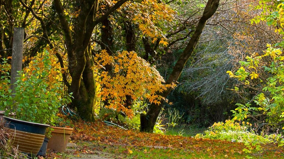 November leaves little time for sowing Image