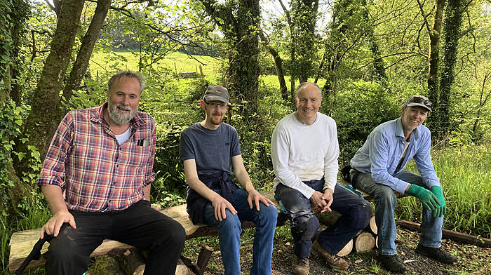 Funding of almost €20,000 has been allocated to Green Skibbereen for its ambitious conservation work in promoting biodiversity at Myross Wood in Leap.  The grant from the National Parks and Wildlife Service, Peatlands and Natura Engagement Scheme will help develop a special area of conservation. Among the volunteers at Cecas are Mark Robins, Frank Rooney, Danny Smith and Chris Drake.