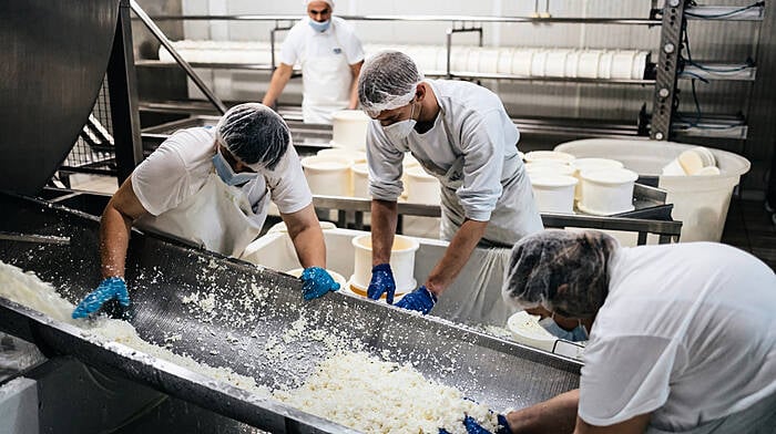 Cheesemaker shortlisted for award Image