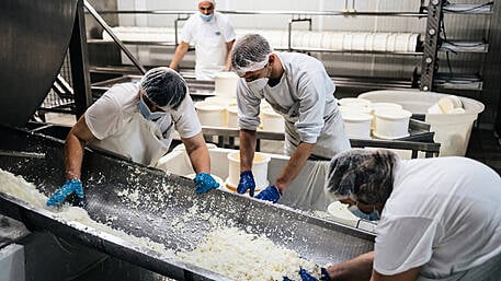 Cheesemaker shortlisted for award Image