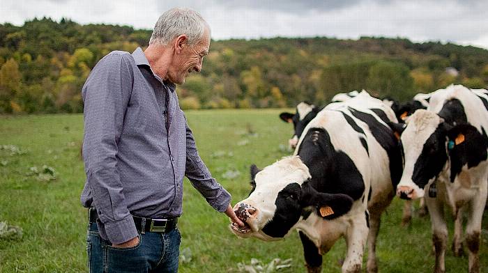 Study reaching out to West Cork aims to improve care options for older farmers Image