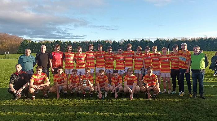 The winning minor football team who won the county final last Sunday.