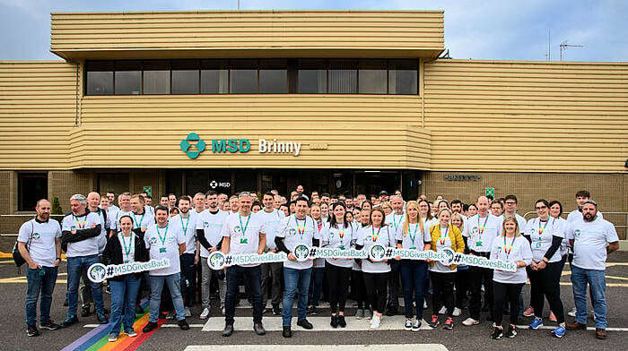 MSD Brinny employees volunteer over 751 hours Image