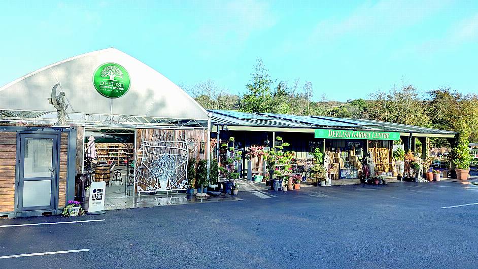 Deelish Garden Centre, always in tune with each season Image