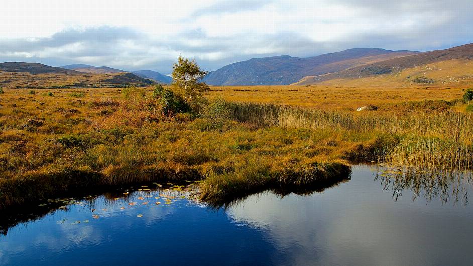 New Peatland Standard accelerates restoration and boosts Ireland’s climate resilience Image