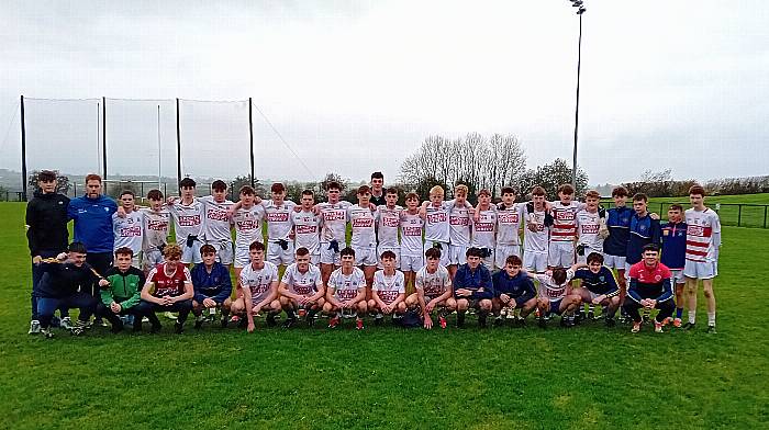 Oscar Ryan and Kieran Carroll goals fire Kinsale Community School into Munster final Image