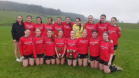 Drinagh U16s complete league and cup double Image