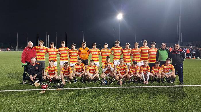 ‘The future is bright for Newcestown hurling’ Image