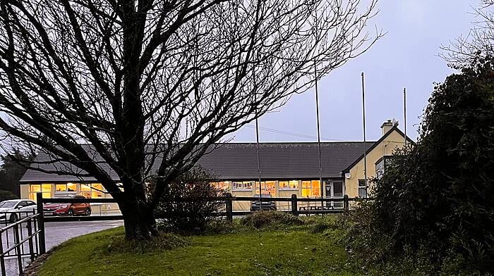 ELECTION 2024 LIVE: Voting slow so far across polling stations in West Cork Image