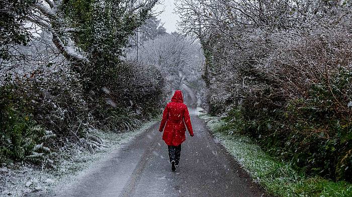 GALLERY: First snowfall of the season arrives in West Cork! Image