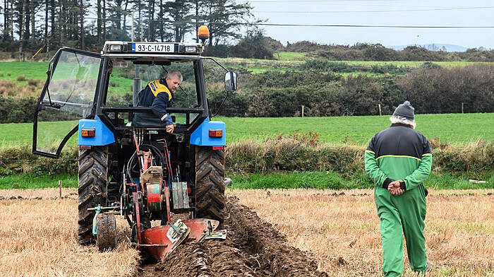 Stanley Deane (Innishannon) competing in the senior conventional class with his Ford 5030 with brother John (Bandon) looking on at the Cahermore 68th annual ploughing match, which was the third ploughing match of the 2024/2025 season in the Cork West region and was held on the lands of Diarmuid and Ann Keohane, Creaghbeg, Clonakilty.   (Photo: David Patterson)