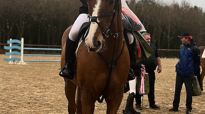 Madeline McSweeney on Balladeer Give A Guidam after winning the 1.1m Jumps Ahead final and league