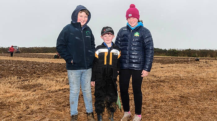 Brothers Michael and JT O'Driscoll (Kilbrittain) and cousin Aine O'Driscoll (Knockbrown, Bandon) braving the conditions at the Clonakilty ploughing match which was the second ploughing match of the 2024/2025 season in the Cork West region and which was held on the lands of the Wolfe family, Ardgehane, Timoleague.                           (Photo: David Patterson)