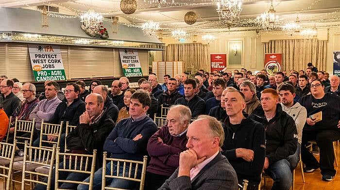 Conference attendees listen intently to the speakers. (Photo: Andy Gibson.)