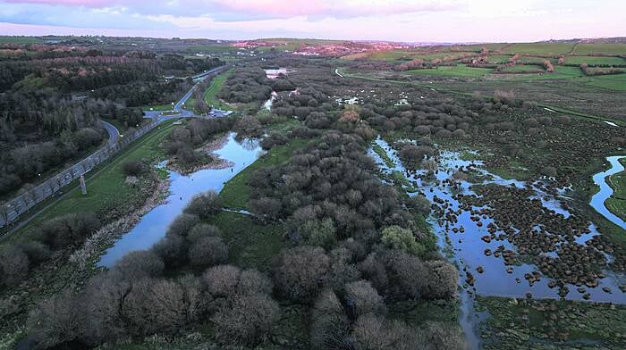 Clogheenmilcon  Fen wins award Image