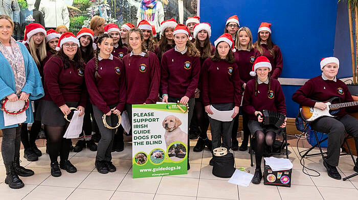 Shoppers in the Riverview Shopping Centre in Bandon today were entertained by the pupils from St Brogans Collage Bandon singing Christmas carols in support of Irish Guide Dogs for the Blind.
Credit: Andrew Harris