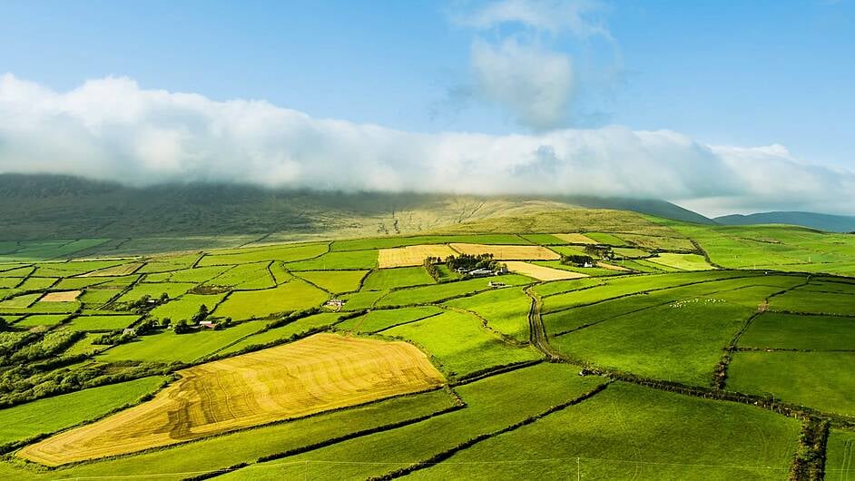 Farmers to receive NPI payments as part of the 2023 Acres scheme Image