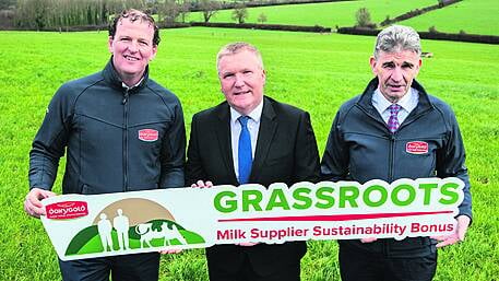 Dairygold’s updated sustainability bonus offers 33% increase to farmers Image