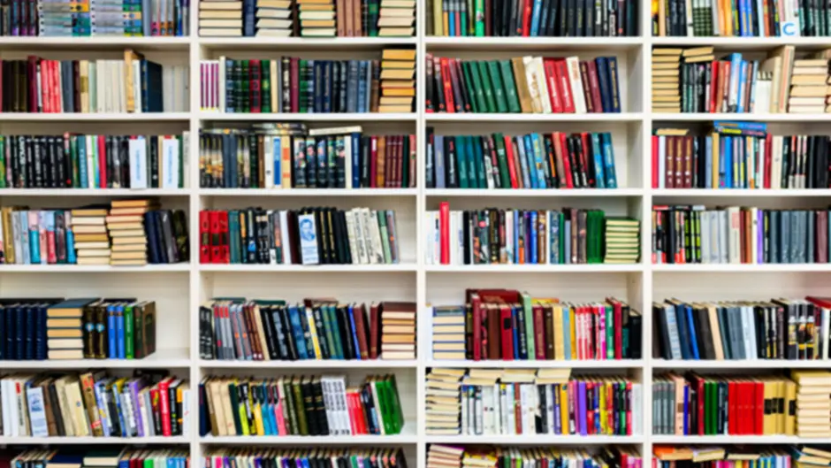 Top 10 reads before the West Cork Literary Festival 2025 Image