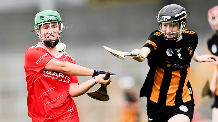 Heartbreak for Rebels in All-Ireland minor camogie decider  Image