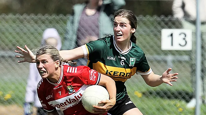 Conquering Kerry proves step too far for Cork Image