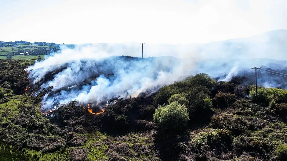 Gorse fire at Shanavagh in Ballydehob now under control Image