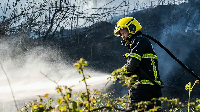Ballydehob gorse fire not to be investigated by gardaí Image