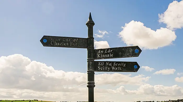 One-way system proposal for Kinsale Image