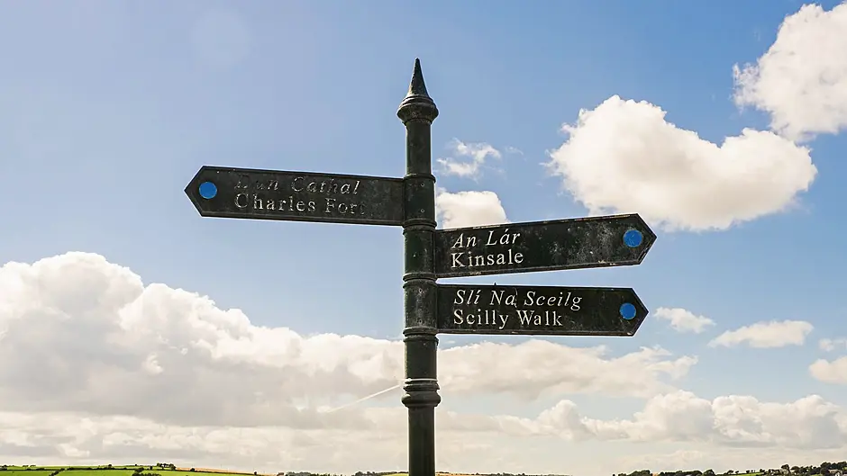 One-way system proposal for Kinsale Image