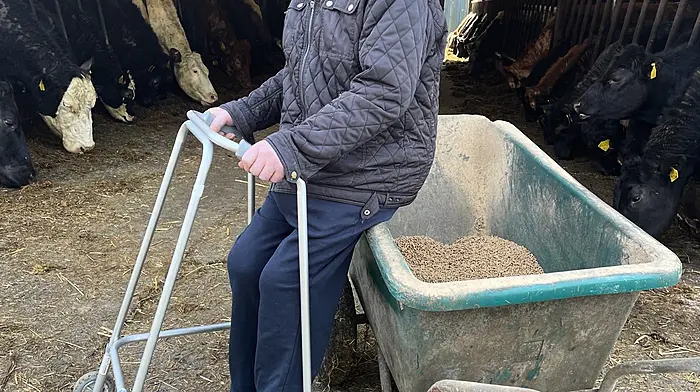 William Blake from Beara out farming on his 100th birthday.
