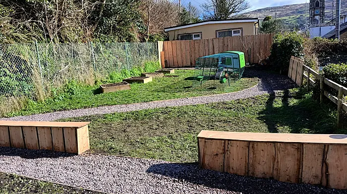 The sensory garden at St Brendan's National School showing the popular hens in their modern coop.